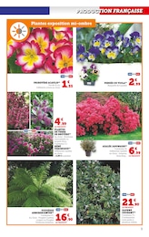 Offre Plante D'intérieur dans le catalogue Super U du moment à la page 3