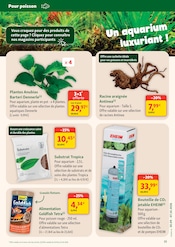 Promos Electroménager dans le catalogue "maxi zoo" de Maxi Zoo Electroménager en promo dans le catalogue Maxi Zoo à la page 15