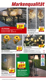 Sonnenblume im toom Baumarkt Prospekt in Stuttgart Aktueller toom Baumarkt Prospekt mit Sonnenblume, "Respekt, wer's selber macht.", Seite 8