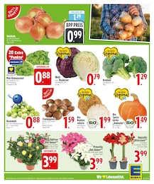 EDEKA Kohl im Prospekt EDEKA Kohl im Prospekt