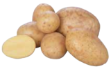 Speisefrühkartoffeln Angebot im Marktkauf Prospekt Speisefrühkartoffeln im Marktkauf Prospekt zum Preis von 1,99 €