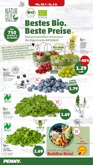 Rucola im Penny Prospekt "Wer günstig will, muss Penny." mit 34 Seiten (Mannheim)