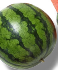 Span./ital. Bio-Wassermelone für 3,99 € bei Kaufland im Angebot Span./ital. Bio-Wassermelone im aktuellen Kaufland Prospekt