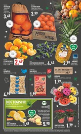 Aktueller Marktkauf Prospekt mit Gemüse, "Aktuelle Angebote", Seite 5