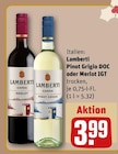 Pinot Grigio DOC Angebote von Lamberti bei REWE Regensburg für 3,99 €