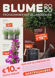 Blume 2000 Prospekt für Gelsenkirchen mit 6 Seiten Blume 2000 Prospekt für Gelsenkirchen: "GARTENZAUBER", 6 Seiten, 05.05.2025 - 25.05.2025