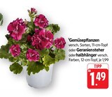 Gemüsepflanzen bei EDEKA im Prospekt "" für 1,49 €