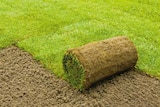 Spiel- und Sport Gräser-Mischung Angebote von Plantiflor Natur bei Hellweg Dortmund für 7,49 €
