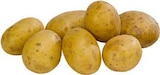 Speisekartoffeln Mini bei EDEKA im Havixbeck Prospekt für 2,49 €