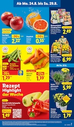 Blumen im Lidl Prospekt LIDL LOHNT SICH auf S. 3