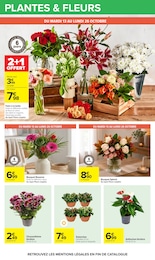 Prix et réduction Fleurs dans le prospectus Carrefour en cours Offre Fleurs dans le catalogue Carrefour du moment à la page 74