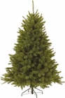 Aktuelles Kunst-Tanne „Forest Frosted Pine“ Angebot bei Pflanzen Kölle in Stuttgart ab 169,00 €