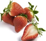 FRAISE VARIÉTÉ GARIGUETTE à Petit Casino dans Senlisse FRAISE VARIÉTÉ GARIGUETTE à Petit Casino dans Senlisse