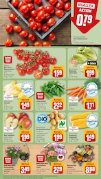 Pflanzen Angebot & Preis im aktuellen REWE Prospekt Pflanzen Angebot im aktuellen REWE Prospekt auf Seite 11