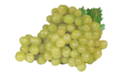 Tafeltrauben von  im aktuellen EDEKA Prospekt für 1,79 €