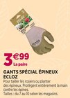 Promo GANTS SPÉCIAL ÉPINEUX à 3,99 € dans le catalogue Delbard à Le Puy-en-Velay