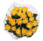 EDEKA Parkentin - Sonnenblumen Angebot im Prospekt Sonnenblumen bei EDEKA im Parkentin Prospekt für 4,99 €