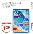 WC-Stein Power 5 Angebote von Domestos bei GLOBUS Herne für 1,29 €