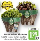 Bio Bunte Salate Angebot in Filderstadt Bio Bunte Salate im aktuellen Prospekt bei E center in Filderstadt