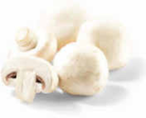 Champignons weiß im Angebot bei Netto Marken-Discount in Remscheid Champignons weiß Angebote bei Netto Marken-Discount Remscheid für 1,79 €
