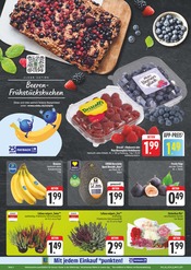 Ähnliche Angebote wie Bonsai im Prospekt "Wir lieben Lebensmittel!" auf Seite 2 von EDEKA in Erlangen