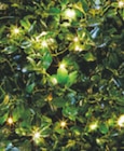 Solar-Lichterkette Angebote von toom bei toom Baumarkt Ravensburg für 6,99 €
