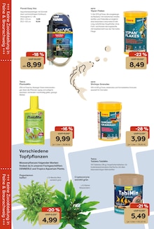 Pflanzen im Garten-Center Nordharz GmbH & Co. KG Prospekt "Aktuelle Angebote" mit 18 Seiten (Kassel)