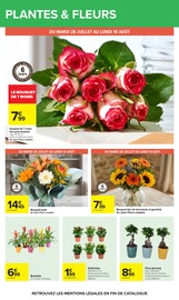 Promos Plante Verte dans le catalogue "VOS PETITS PRIX DU QUOTIDIEN" de Carrefour Plante Verte en promo dans le catalogue Carrefour à la page 58