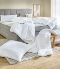 Leicht-Steppbett im Angebot bei Höffner in Beckum Leicht-Steppbett Angebote von COMO bei Höffner Beckum für 14,95 €