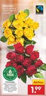 Moosrosen von  im aktuellen Netto Marken-Discount Prospekt für 1,99 €