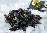 MOULES DE BOUCHOT DES ÎLES CHAUSEY - SPECIALITE TRADITIONNELLE GARANTIE - SANS MARQUE en promo chez Auchan Hypermarché Tourcoing à 6,99 €