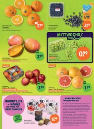 tegut Mango im Prospekt tegut Mango im Prospekt
