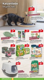 Aktueller Raiffeisenmarkt Prospekt mit Katzenstreu, "Herbstzauber im Garten.", Seite 3