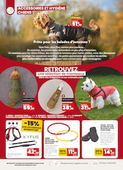 Chaussures Angebote im Prospekt "À l'automne, nos prix vous font les yeux doux !" von Animalis auf Seite 8
