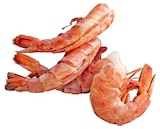 Argentinische Rotgarnelenschwänze im Angebot bei REWE in Hamburg Argentinische Rotgarnelenschwänze Angebote bei REWE Hamburg für 2,79 €