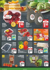 Tomaten im EDEKA Prospekt in Hoyerswerda Aktueller EDEKA Prospekt mit Tomaten, "Aktuelle Angebote", Seite 3