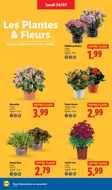 Laurier Rose Angebote im Prospekt "Le vrai prix des bonnes choses" von Lidl auf Seite 28