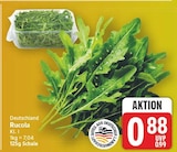 Rucola im aktuellen E center Prospekt