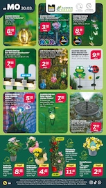 Aktueller Netto mit dem Scottie Prospekt mit Laternen, "Günstig. Besser. Für Dich.", Seite 26