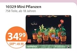 10329 Mini Pflanzen im aktuellen V-Markt Prospekt für 34,99 €