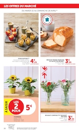 Plante Verte en promo dans le catalogue Super U à la page 30