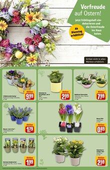 Blumen im REWE Prospekt "Dein Markt" mit 32 Seiten (Hildesheim)