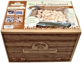 Aktuelles Bio-Pilzzucht-Set Angebot bei Hagebaumarkt in Stuttgart ab 19,99 €