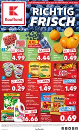 Kaufland Prospekt für Hungen mit 61 Seiten Kaufland Prospekt für Hungen: "Aktuelle Angebote", 61 Seiten, 23.10.2025 - 29.10.2025