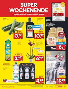 Katzenfutter im Netto Marken-Discount Prospekt "Aktuelle Angebote" mit 65 Seiten (Heilbronn)
