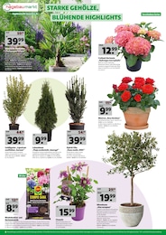 Hagebaumarkt Pflanzerde im Prospekt 
