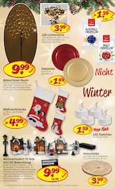 Aktueller Picks-Raus Prospekt mit Holz, "1000 GELEGENHEITEN FÜR HAUS, HOBBY UND GARTEN", Seite 4