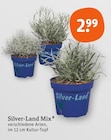 Mix im Angebot bei tegut in Erfurt Mix Angebote von Silver-Land bei tegut Erfurt für 2,99 €