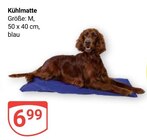 Aktuelles Kühlmatte Angebot bei GLOBUS in Braunschweig ab 6,99 €