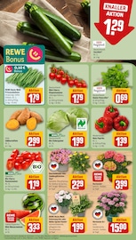 Ähnliche Gurkenpflanze Angebote im Prospekt "Dein Markt" von REWE in Bochum Ähnliche Angebote wie Gurkenpflanze im Prospekt "Dein Markt" auf Seite 5 von REWE in Bochum